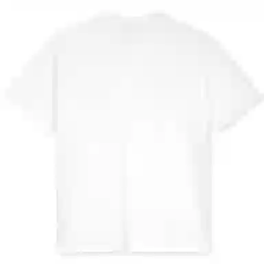 POLAR SKATE CO T