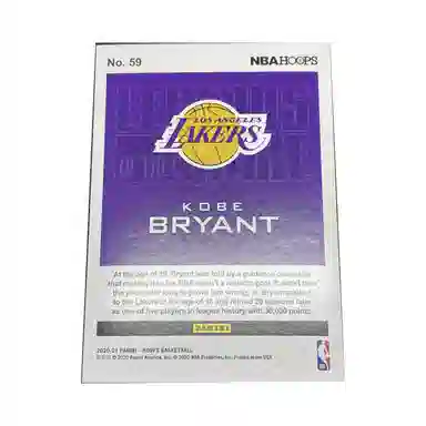 PANINI Hoops