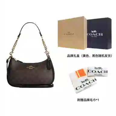 COACH Teri 25 Brown Black