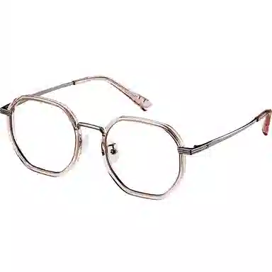 police VPLM95K