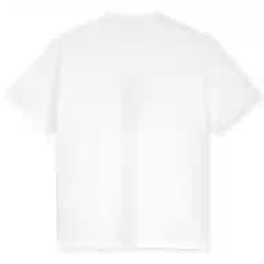 Polar Skate Co Heavyweight Graphic Tee White