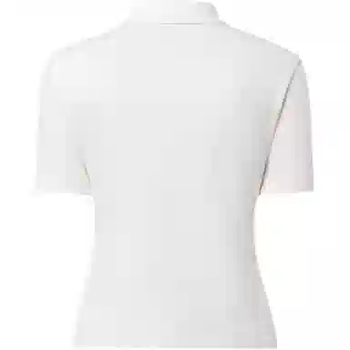 LOUIS VUITTON FW24 Polo