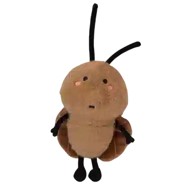 20cm