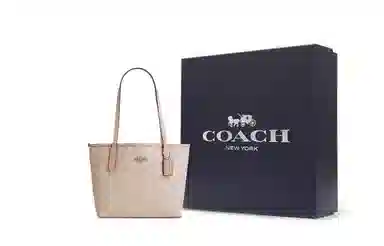 COACH Small City 23 Silver Sand
