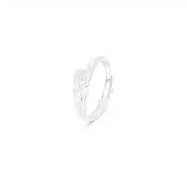 Thuban Ark ins S925