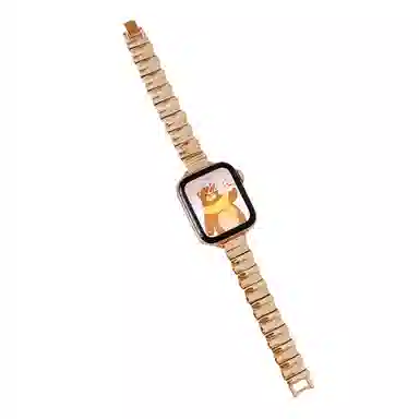 Akkerds Apple Watch