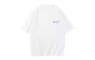 HIKZ T