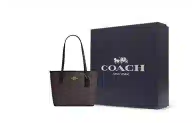 COACH Small City 23