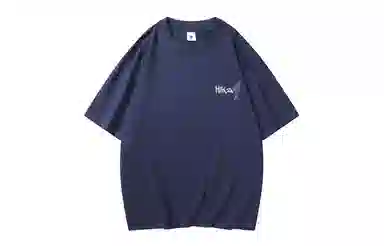 HIKZ T