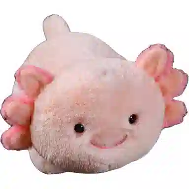 40cm
