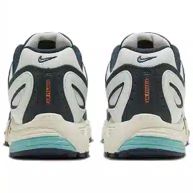 Nike Air Pegasus 2005