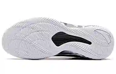 Anta 2 Low Basketball Shoes Black White Grey