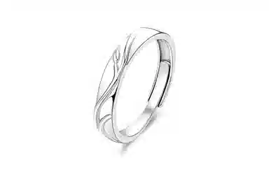 STYLEJING Adjustable Couple Ring