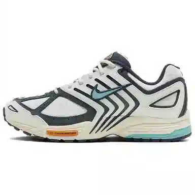 Nike Air Pegasus 2005