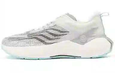 5.0 Pro