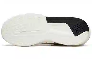 Anta 3.0