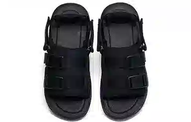 Anta