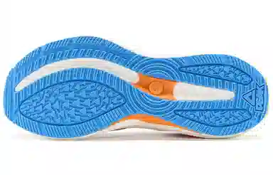 5.0 Pro