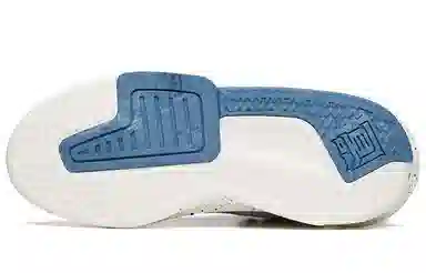 WWF x Anta 3.0