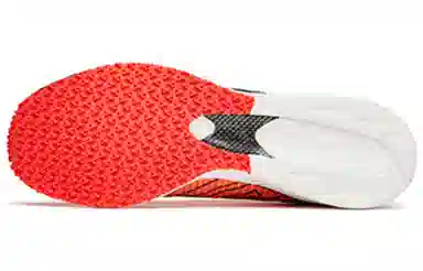 Anta C202 3.0