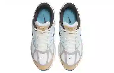 Nike Air Pegasus 2005