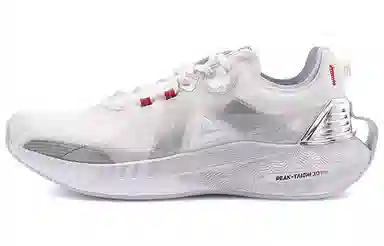 3.0 pro