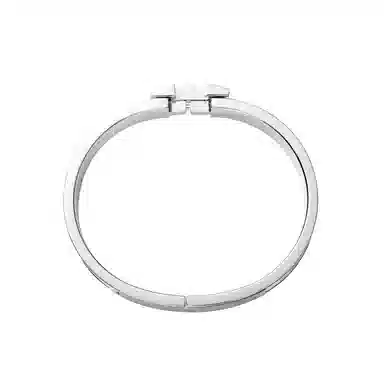 HERMES Clic H