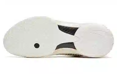 Anta 4 pro