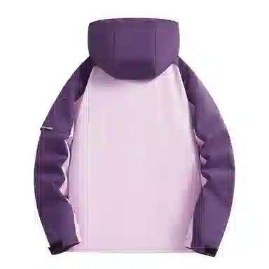 METE WHALE MT