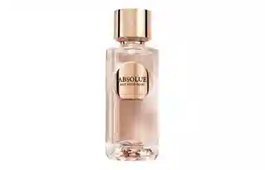 Absolue Not Your Rose EDP 100ml