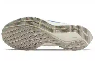 Nike Pegasus 36 White Blue