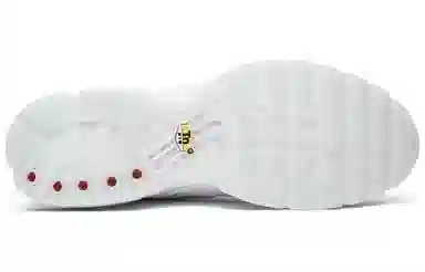 Nike Air Max Plus White