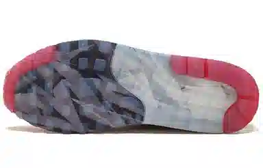 Wasafu x Nike Air Max 1