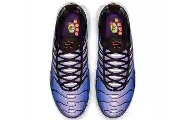 Nike Air Max Plus Midnight Purple