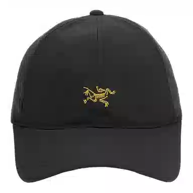 Arcteryx Logo