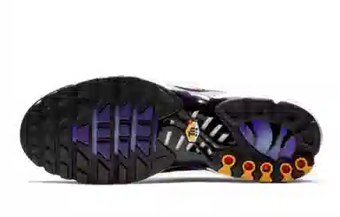 Nike Air Max Plus Midnight Purple