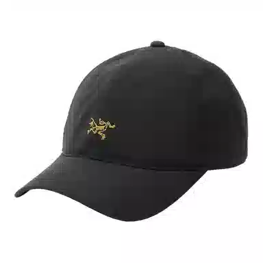 Arcteryx Logo