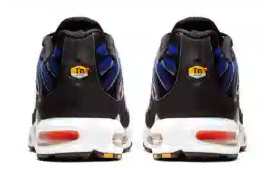 Nike Air Max Plus Midnight Purple