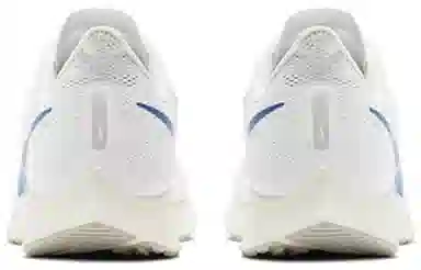 Nike Pegasus 36 White Blue