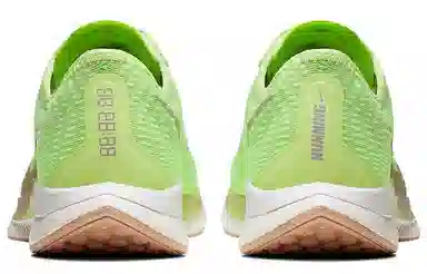 Nike Pegasus turbo 2