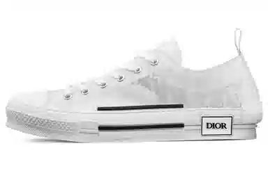 DIOR B23 Oblique logo