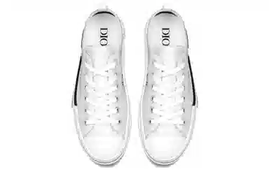 DIOR B23 Oblique logo