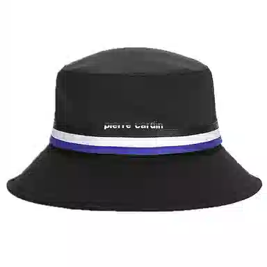 PIERRE CARDIN logo