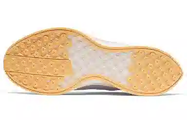 Nike Pegasus turbo 2