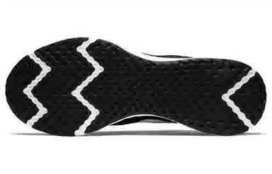 Nike Revolution 5 Black