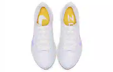 Nike Pegasus turbo 2