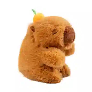 12cm30cm40cm50cm
