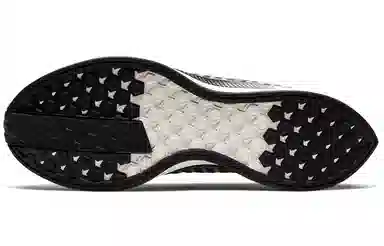 Nike Pegasus turbo 2