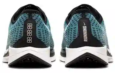 Nike Pegasus turbo 2