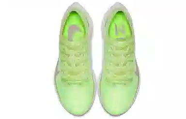 Nike Pegasus turbo 2